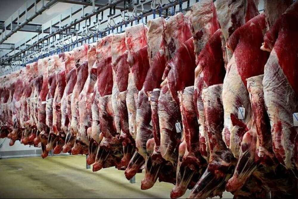 قیمت گوشت گوساله و گوسفند امروز دوشنبه ۳۰ شهریور ۱۴۰۵ +جدول
